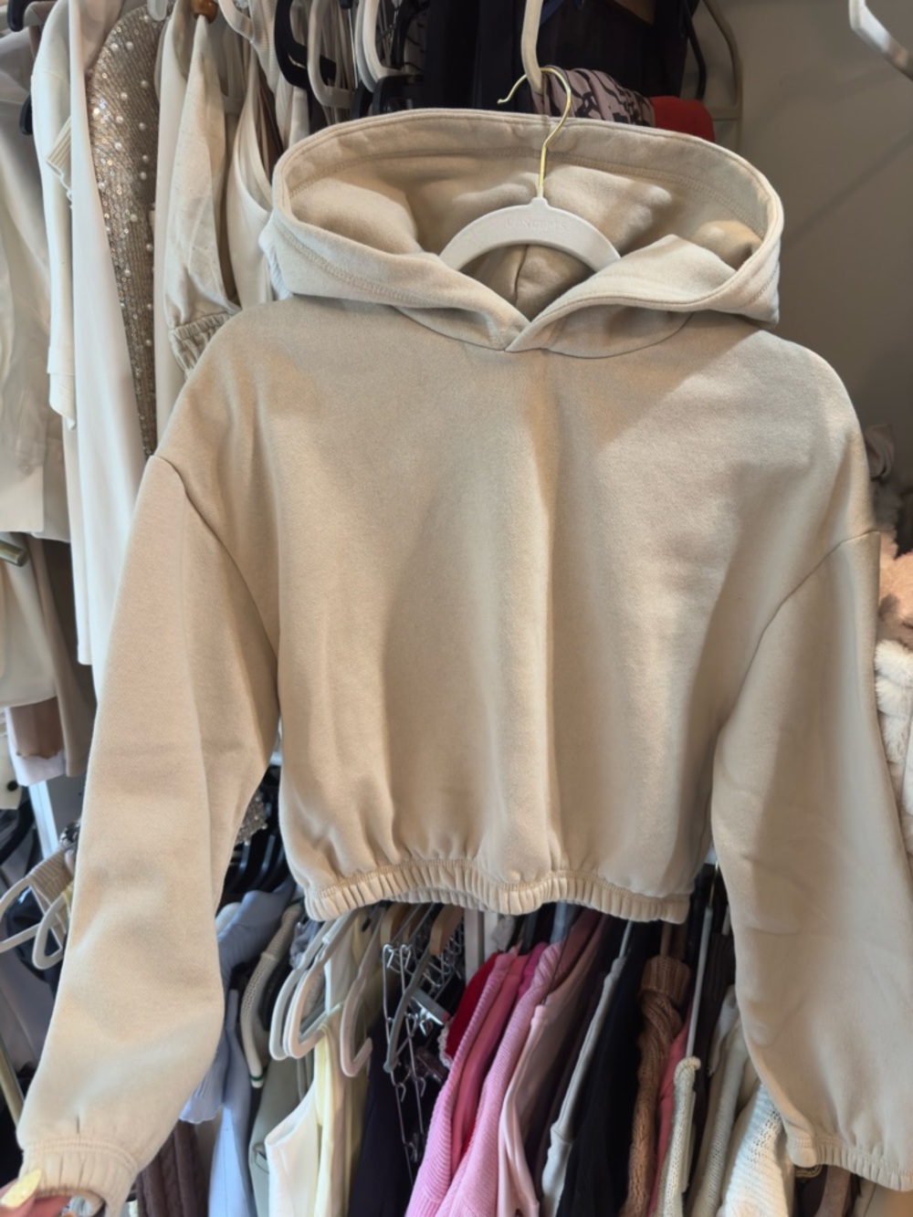 Zara Cropped Hooded Sweatshirt in Light Beige